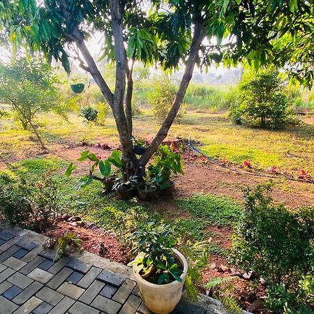 סיגירייה Fairview Dill Homestay מראה חיצוני תמונה