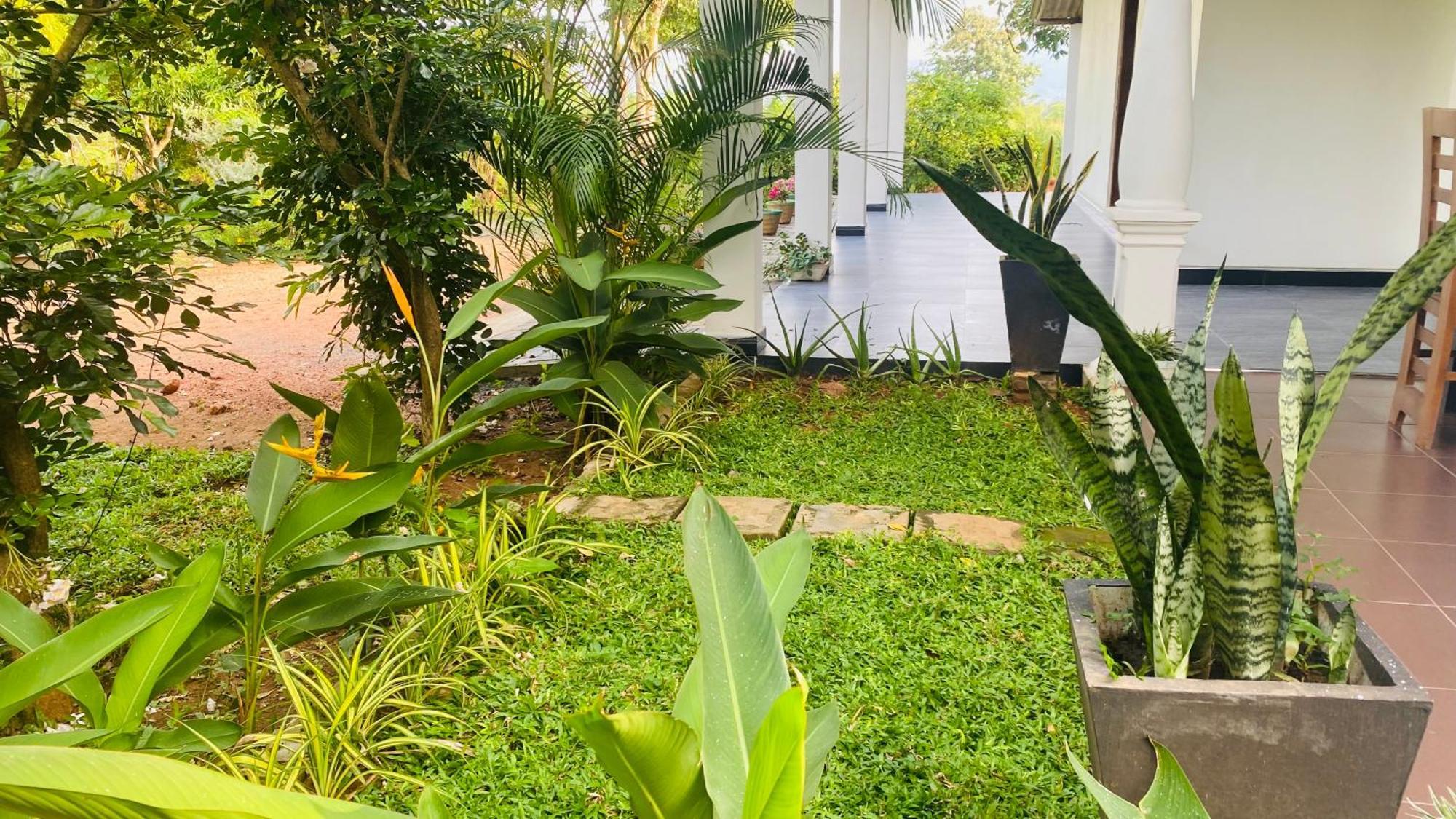 סיגירייה Fairview Dill Homestay מראה חיצוני תמונה