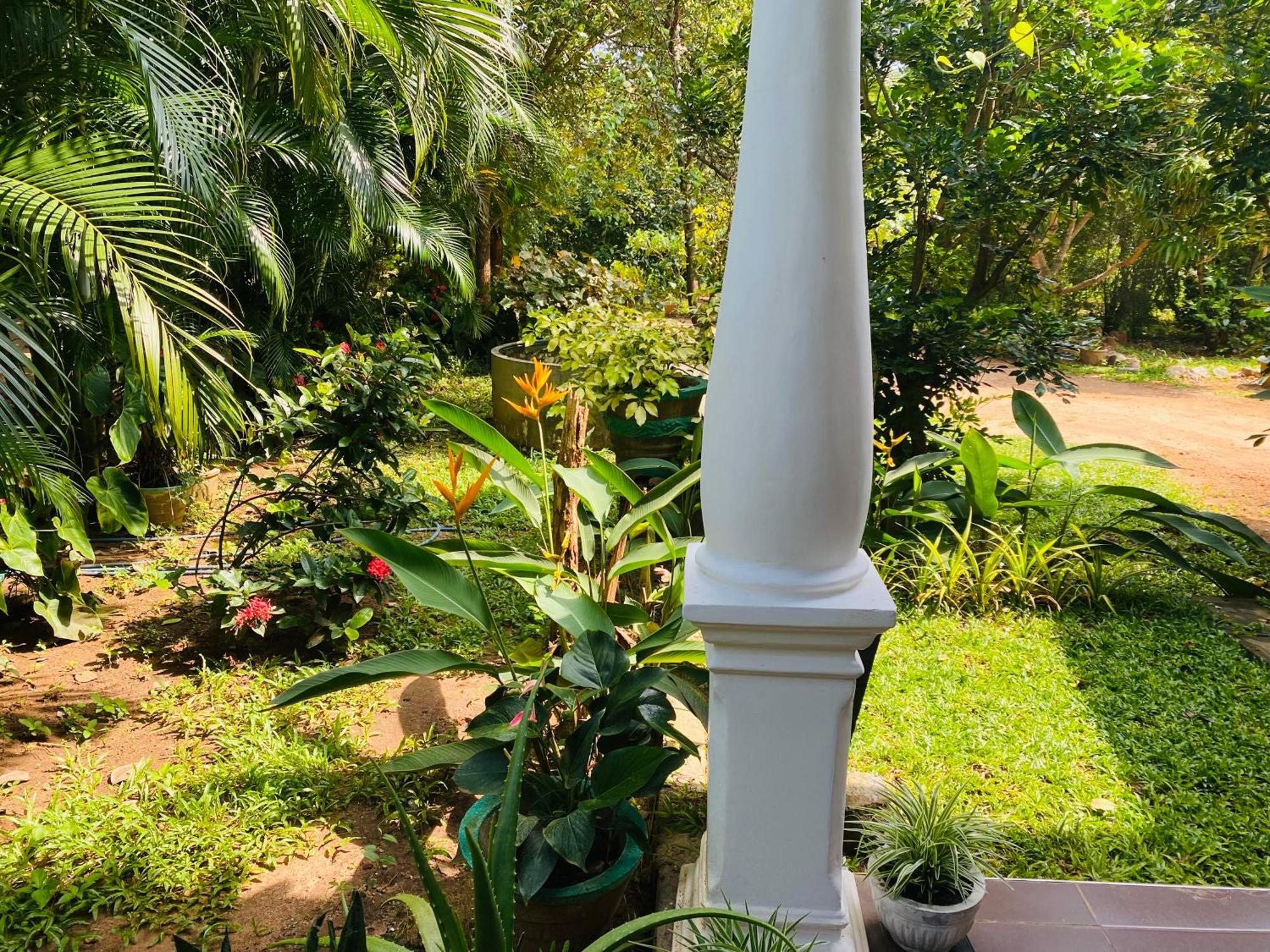 סיגירייה Fairview Dill Homestay מראה חיצוני תמונה