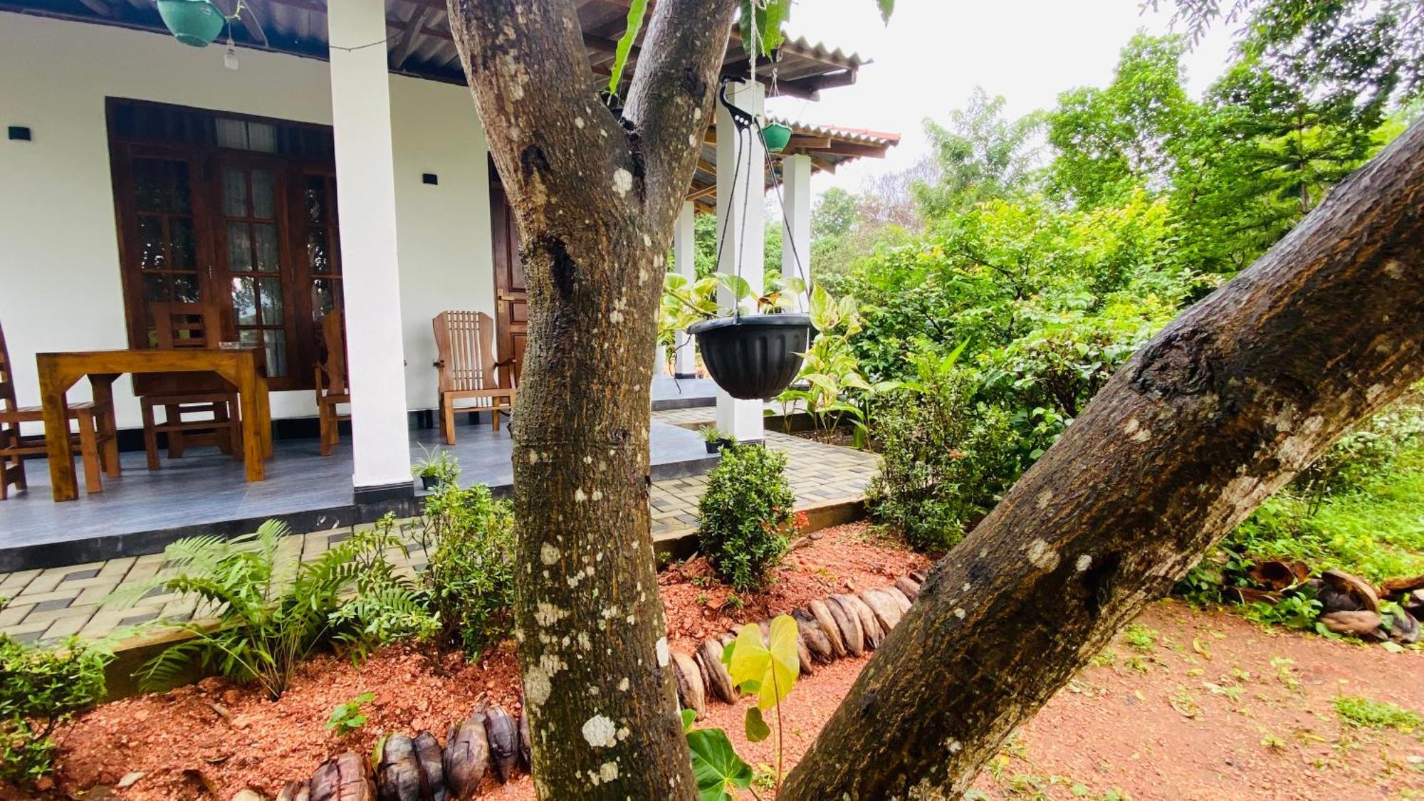 סיגירייה Fairview Dill Homestay מראה חיצוני תמונה