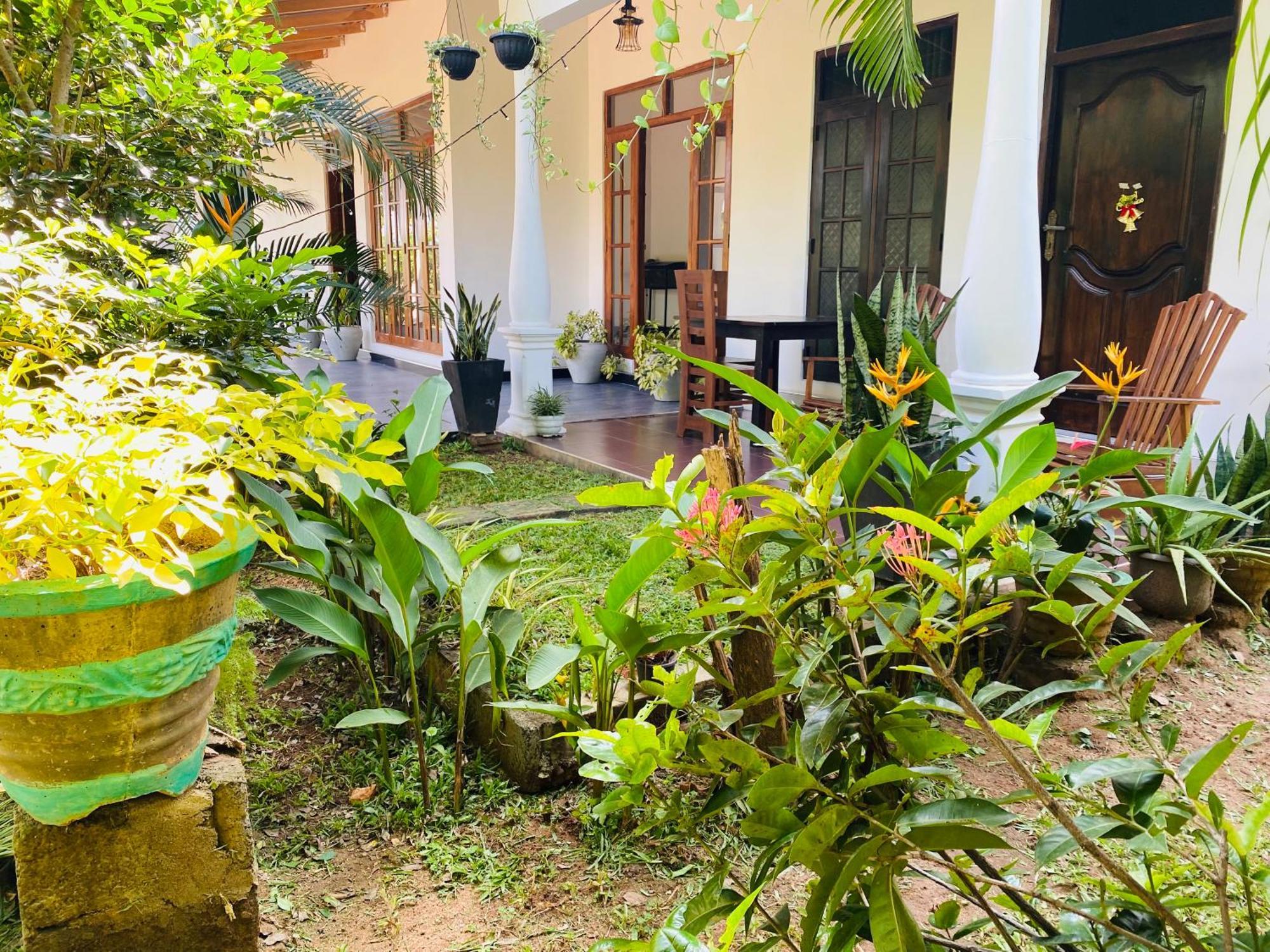 סיגירייה Fairview Dill Homestay מראה חיצוני תמונה