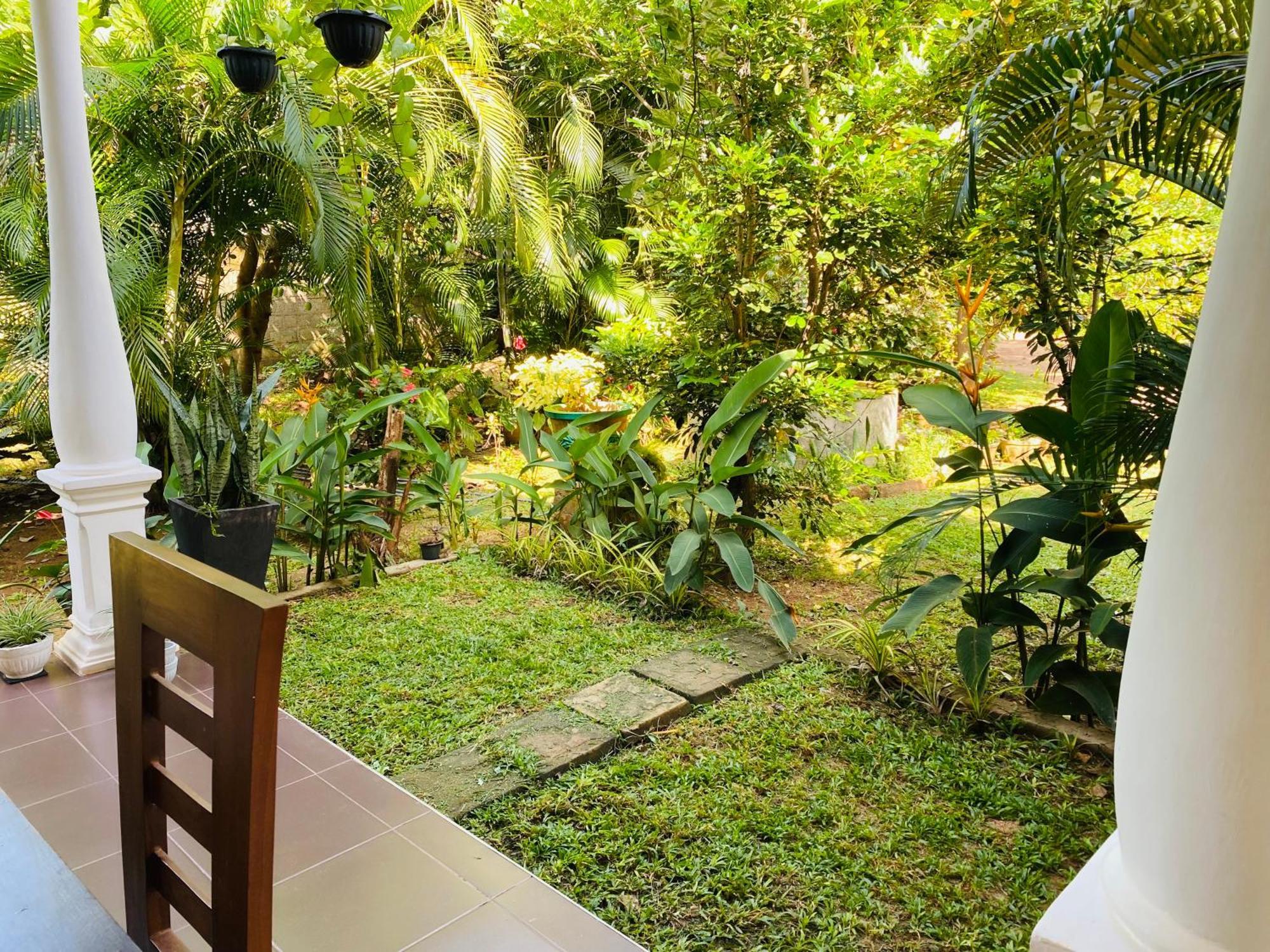 סיגירייה Fairview Dill Homestay מראה חיצוני תמונה