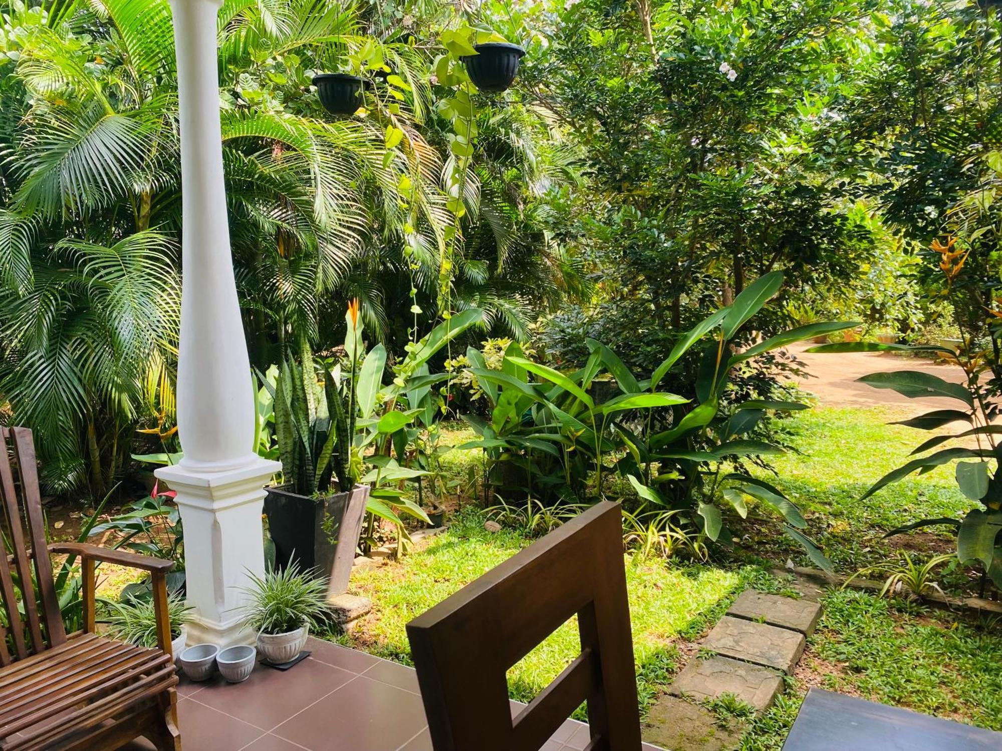 סיגירייה Fairview Dill Homestay מראה חיצוני תמונה