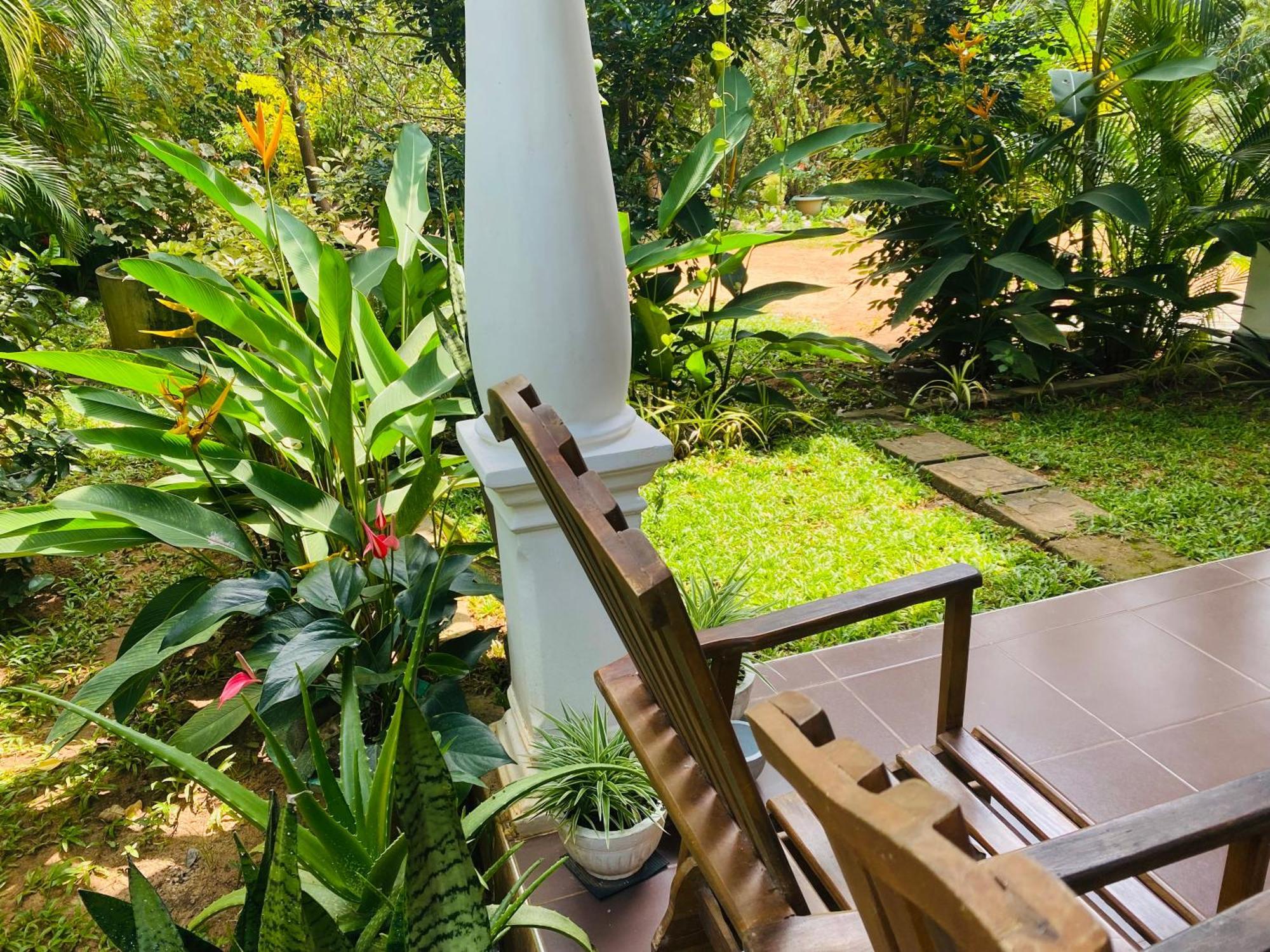 סיגירייה Fairview Dill Homestay מראה חיצוני תמונה