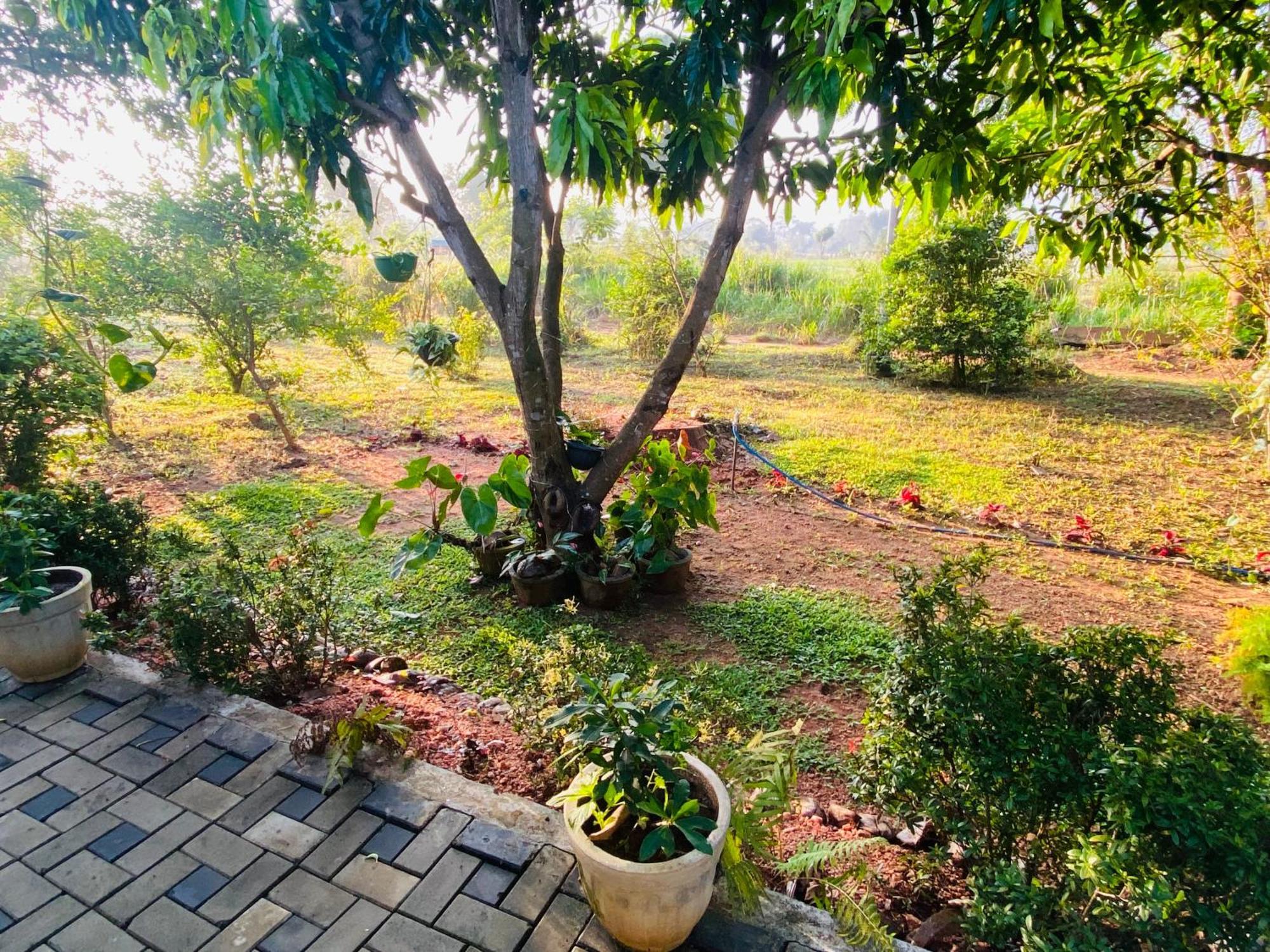 סיגירייה Fairview Dill Homestay מראה חיצוני תמונה